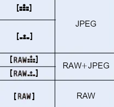 panasonic jpg en raw