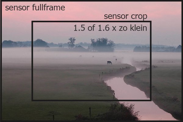 sensorformaat