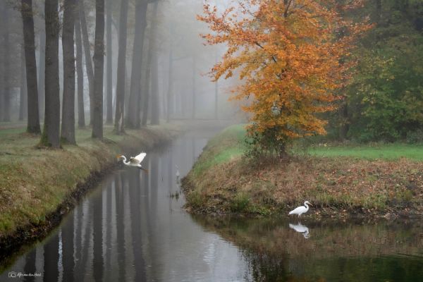 Het perfecte plaatje maken? Dat leer je bij de Online FotoSchool!